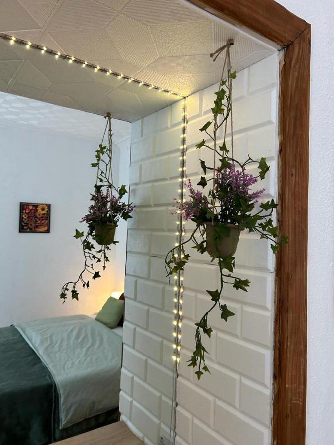 Guest House Rusu Брашов Экстерьер фото