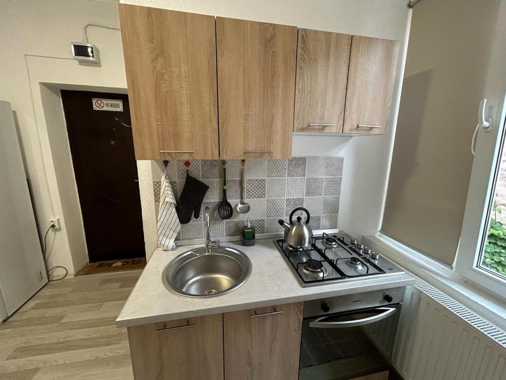 Guest House Rusu Брашов Экстерьер фото